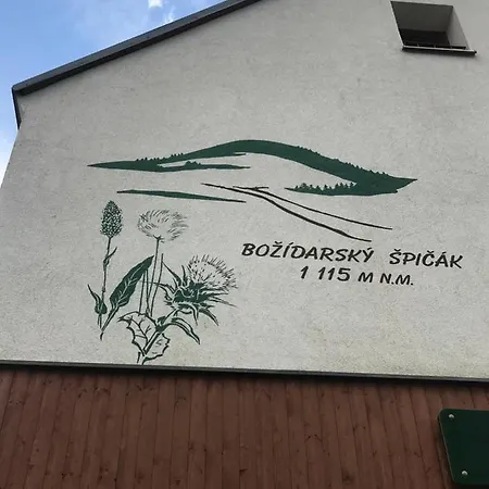 Penzion Spicak * Boží Dar