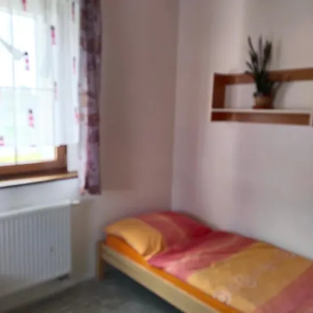 Penzion Spicak 民宿 Boží Dar