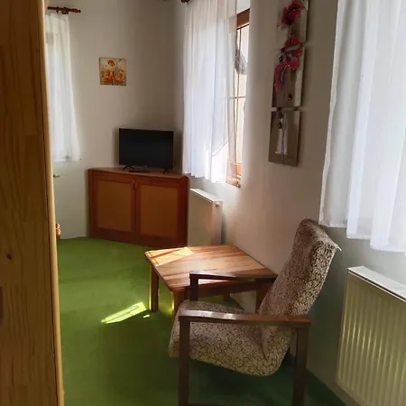 民宿 Penzion Spicak Boží Dar